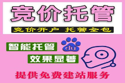 成功案例：百度SEM代运营助力企业品牌建设